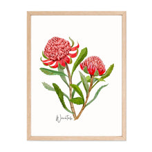 Load image into Gallery viewer, Australian Native Grevillea, Wattle, and Waratah Botanical Poster | Set of 3 - Australiana Gifts Co