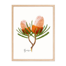 Load image into Gallery viewer, Bold & Striking Australian Native Banksia Poster | Set of 2 - Australiana Gifts Co