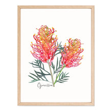 Load image into Gallery viewer, Bold & Vibrant Australian Native Grevillea and Waratah Poster | Set of 2 - Australiana Gifts Co
