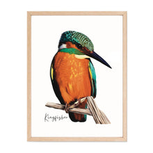 Load image into Gallery viewer, Bright & Alluring Australian Native Kingfisher Poster, Tote Bag & Card Set - Australiana Gifts Co