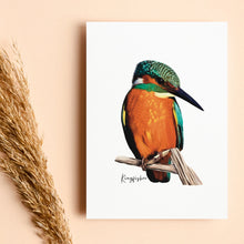 Load image into Gallery viewer, Bright & Alluring Australian Native Kingfisher Poster, Tote Bag & Card Set - Australiana Gifts Co