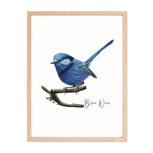 Load image into Gallery viewer, Lively & Radiant Australian Native Blue Wren Poster, Tote Bag & Card Set - Australiana Gifts Co