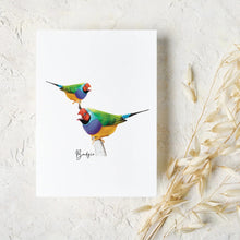Load image into Gallery viewer, Vibrant & Colourful Australian Native Gouldian Finch Poster, Scarf & Card Set - Australiana Gifts Co