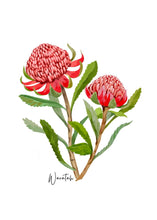 Load image into Gallery viewer, Waratah Flower Card - Australiana Gifts Co