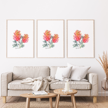 Load image into Gallery viewer, Grevillea Flower Poster