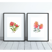 Load image into Gallery viewer, Grevillea Flower Poster