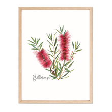 Load image into Gallery viewer, Bottlebrush Flower Poster | Red