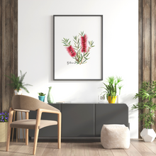 Load image into Gallery viewer, Bottlebrush Flower Poster | Red