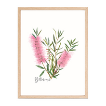 Load image into Gallery viewer, Bottlebrush Flower Poster | Pink