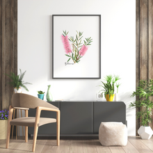 Load image into Gallery viewer, Bottlebrush Flower Poster | Pink