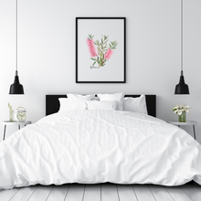 Load image into Gallery viewer, Bottlebrush Flower Poster | Pink
