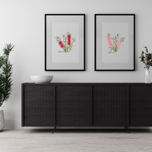 Load image into Gallery viewer, Bottlebrush Flower Poster | Pink