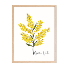 Load image into Gallery viewer, Golden Wattle Flower Poster