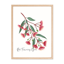 Load image into Gallery viewer, Red Flowering Gum Poster
