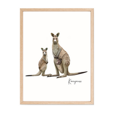 Load image into Gallery viewer, Kangaroo Poster