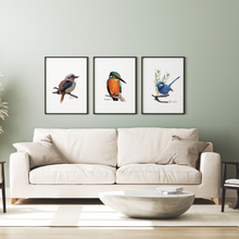 Load image into Gallery viewer, Kingfisher Poster