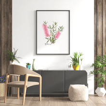 Load image into Gallery viewer, Bottlebrush Flower Poster | Pink - Australiana Gifts Co