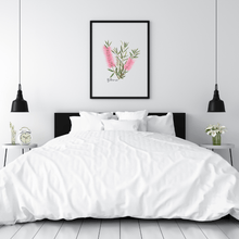 Load image into Gallery viewer, Bottlebrush Flower Poster | Pink - Australiana Gifts Co