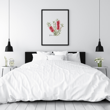 Load image into Gallery viewer, Bottlebrush Flower Poster | Red - Australiana Gifts Co