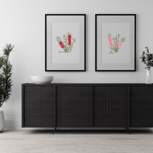 Load image into Gallery viewer, Bottlebrush Flower Poster | Red - Australiana Gifts Co