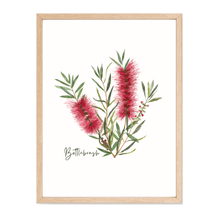Load image into Gallery viewer, Bottlebrush Flower Poster | Red - Australiana Gifts Co