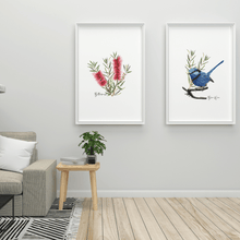 Load image into Gallery viewer, Bottlebrush Flower Poster | Red - Australiana Gifts Co