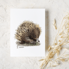 Load image into Gallery viewer, Echidna Card - Australiana Gifts Co