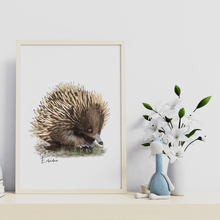 Load image into Gallery viewer, Echidna Poster - Australiana Gifts Co