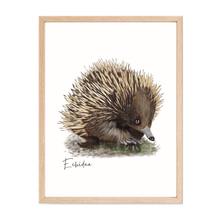Load image into Gallery viewer, Echidna Poster - Australiana Gifts Co