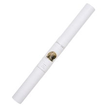 Load image into Gallery viewer, Echidna Poster - Australiana Gifts Co