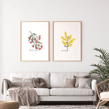 Load image into Gallery viewer, Golden Wattle Flower Poster - Australiana Gifts Co