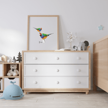 Load image into Gallery viewer, Gouldian Finch Poster - Australiana Gifts Co