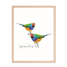 Load image into Gallery viewer, Gouldian Finch Poster - Australiana Gifts Co