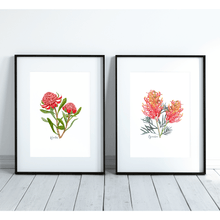 Load image into Gallery viewer, Grevillea Flower Poster - Australiana Gifts Co