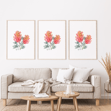 Load image into Gallery viewer, Grevillea Flower Poster - Australiana Gifts Co
