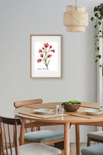 Load image into Gallery viewer, Kangaroo Poster - Australiana Gifts Co