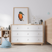 Load image into Gallery viewer, Kingfisher Poster - Australiana Gifts Co