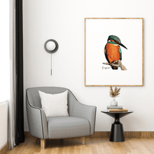 Load image into Gallery viewer, Kingfisher Poster - Australiana Gifts Co