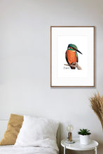 Load image into Gallery viewer, Kingfisher Poster - Australiana Gifts Co