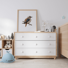 Load image into Gallery viewer, Kookaburra Poster - Australiana Gifts Co