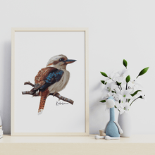 Load image into Gallery viewer, Kookaburra Poster - Australiana Gifts Co