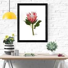 Load image into Gallery viewer, Protea Flower Poster - Australiana Gifts Co