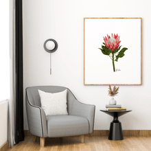 Load image into Gallery viewer, Protea Flower Poster - Australiana Gifts Co
