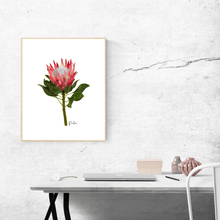 Load image into Gallery viewer, Protea Flower Poster - Australiana Gifts Co