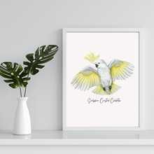 Load image into Gallery viewer, Sulphur Crested Cockatoo Poster - Australiana Gifts Co