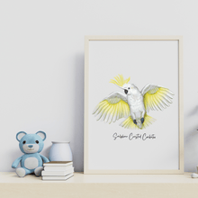 Load image into Gallery viewer, Sulphur Crested Cockatoo Poster - Australiana Gifts Co