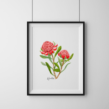 Load image into Gallery viewer, Waratah Flower Poster - Australiana Gifts Co