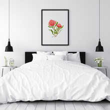 Load image into Gallery viewer, Waratah Flower Poster - Australiana Gifts Co