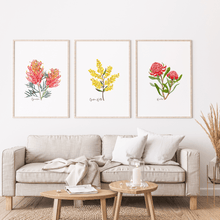 Load image into Gallery viewer, Waratah Flower Poster - Australiana Gifts Co