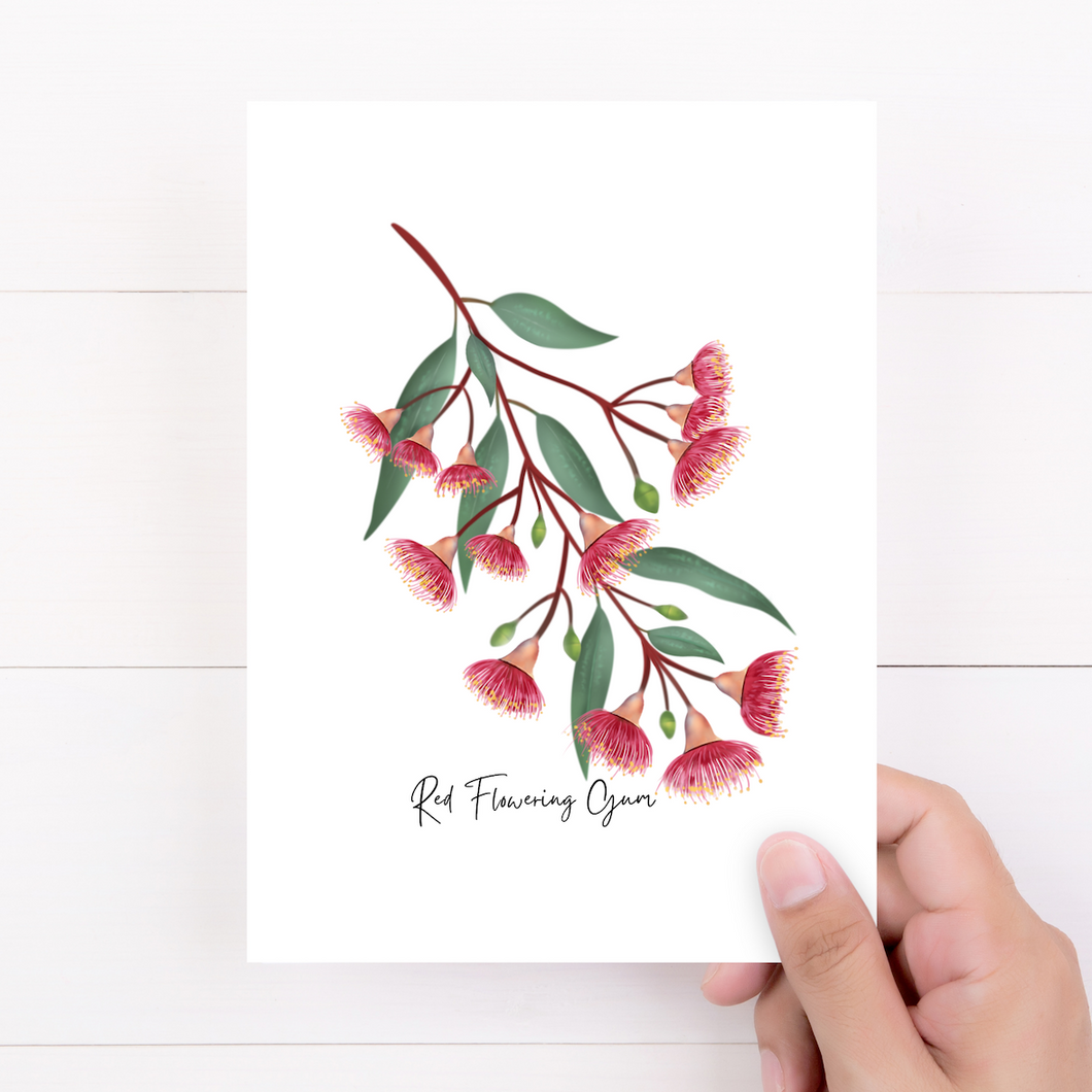 Red Flowering Gum Flower Card